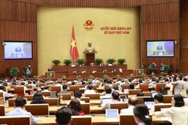 越南第十五届国会第五次会议：国会代表对试行胡志明市发展的特殊机制提出意见