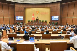 越南国会收到投诉6000多件，收到信访件3.1万余件
