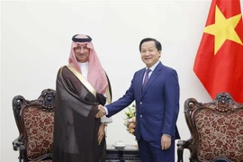 越南政府副总理黎明慨：越南重视加强与沙特阿拉伯在多领域的友好合作关系