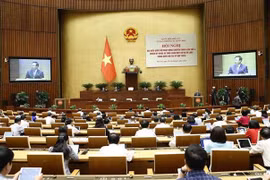 第四次国会专职代表会议在河内举行