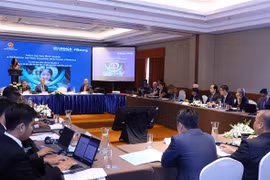 越南同东南亚国家一道努力防止无国籍现象