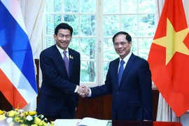 推动越泰战略伙伴关系向新的高度深化发展