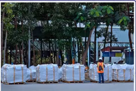 河仙水泥股份公司成功向美国市场出口第一批水泥