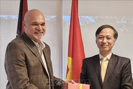巴布亚新几内亚希望提升与越南的关系