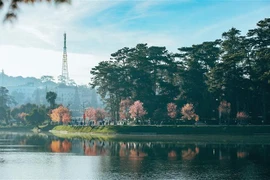 越南常驻联合国教科文组织代表黎氏红云：参加创意城市网络有自豪感和责任感