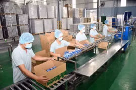 2023年首月槟椥省出口额增长近4% 