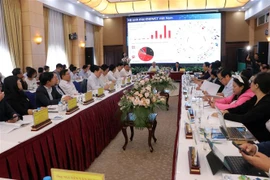促进胡志明市与西原地区的绿色增长对接