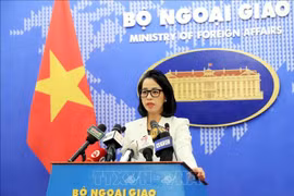 外交部例行记者会：为在庆和省交通事故中遇难的中国公民善后工作提供援助