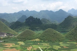 联合国教科文组织世界地质公园同文岩石高原——河江旅游名片