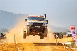 越南越野赛车锦标赛吸引数十支车队参加