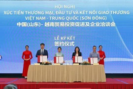 越南-中国（山东）贸易投资促进及企业洽谈会在河内举行