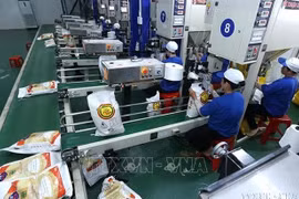 越南可以在任何情况下确保粮食安全