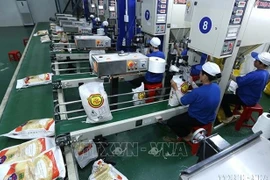 越南可以在任何情况下确保粮食安全