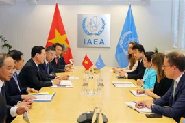 越南国家主席武文赏会见国际原子能机构代理总干事纳贾特·莫赫塔尔