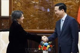 越南国家主席武文赏会见西班牙驻越大使
