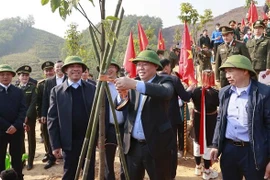 国会主席王廷惠出席宣光省的2023年竞赛和植树节启动仪式