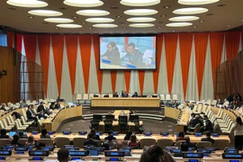 越南常驻联合国代表邓黄江共同主持庆祝国际地球母亲日的会议