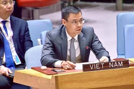 越南强调所有国家都有责任遵守《联合国宪章》和国际法