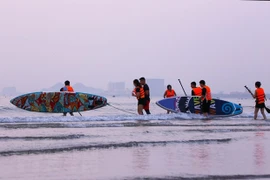 岘港市旅游灵活适应、强劲复苏 