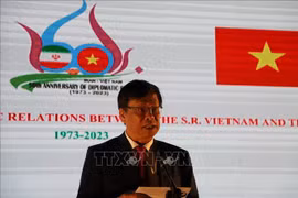 越南驻伊朗大使梁国辉：扩大越南与伊朗合作 提升两国关系水平