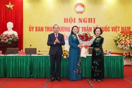宁平省委书记阮氏秋霞担任越南祖国阵线中央委员会副主席、秘书长