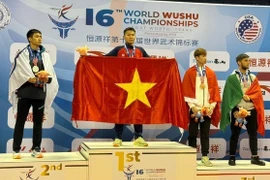 越南武术选手在世锦赛上表现出色 拿下5金3银3铜