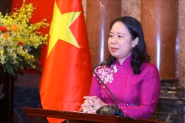 越南驻阿联酋大使阮孟俊：越南与阿联酋合作关系将迈进新发展阶段