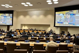 越南强调促进人权的具体因素和国家在推动人权方面的具体举措 