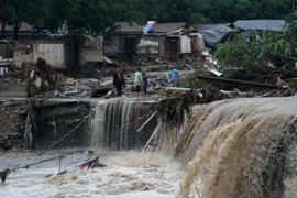 越南领导人就中国多地遭暴风雨袭击造成损失向中国领导人致慰问电