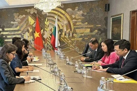 越南与保加利亚副外长就加强两国双边合作进行讨论
