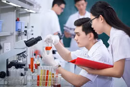 越南《近期至2030年、远期至2050年吸引和利用高素质人才国家战略》获批