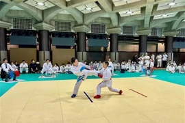 旅居日本越南人空手道锦标赛在东京道场隆重举行 