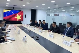 越南企业大力进军拉丁美洲市场