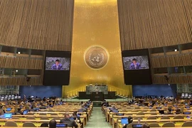 越南积极负责任地为国际原子能机构事务作出贡献