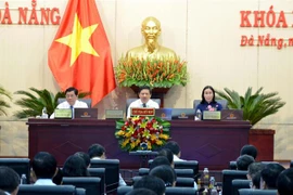岘港市第十届人民议会第十二次会议开幕
