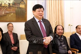 努力保护与弘扬在德国的越南文化和艺术