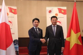 史上最具规模的日本越南节将于6月初在东京举行 