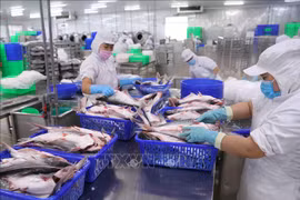 越南拥有安全农林水产食品供应链1700余条