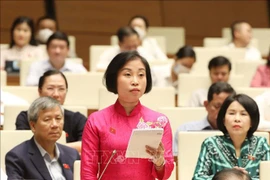 第十五届国会第五次会议：需要保持机票最高限价