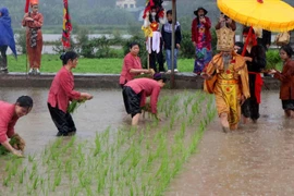 越南文化：旅游业发展的内在动力