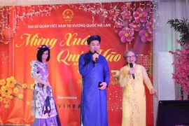 2023年迎春活动“家乡之春”在荷兰举行