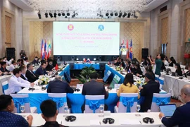 湄公河次区域国家落实《东盟跨界雾霾污染协定》第十二次部长级会议在越南举行 