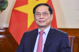 越南外交部长裴青山：提升“越南竹子”外交形象