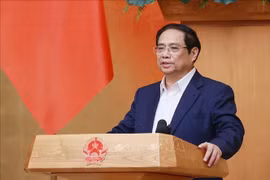 越南政府总理主持政府与各地方视频会议和2023年5月份政府例行会议