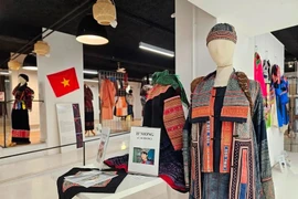 越南民族服装展览会在法国举行