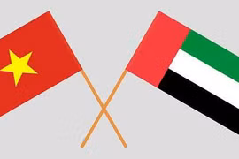 越南与阿联酋建交30周年贺电 