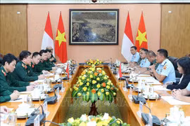 第三次越南-印尼国防政策对话在河内召开