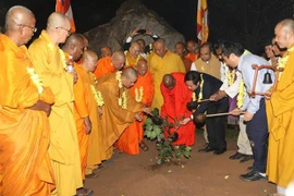 将世界上最古老的菩提树树苗从斯里兰卡迁到宁平省拜顶寺种植