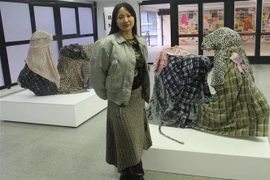 南美洲国际当代艺术双年展介绍越南妇女形象