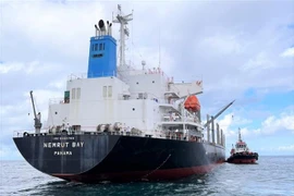越南海军船为在平顺省海域搁浅的外国货船开展救援活动
